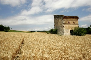 st jean le froid Mailhoc GENIEYS (11)